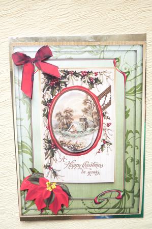 Lovely Poinsetias and Christmas Scene ( Pyramarge) by Rosina Walker