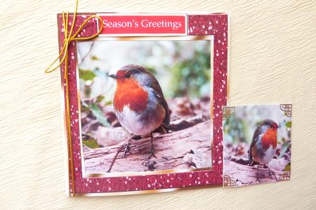 Little Robin Redbreast by Rosina Walker