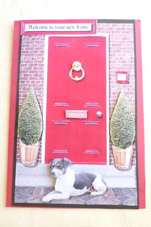 Jack Russell Terrier with a Red Door by Rosina Walker