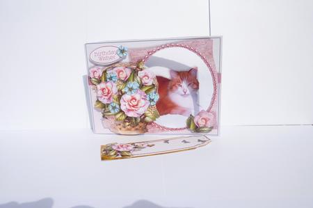 Kittens & Flower Baskets Aperture Mini Kit - Sugar & Spice by Rosina Walker