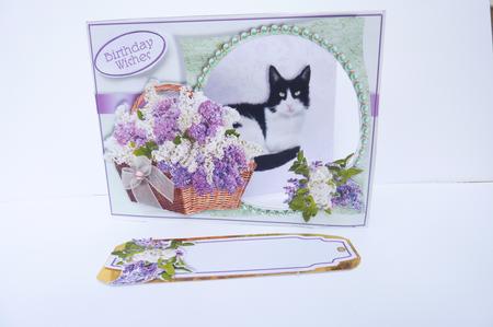 Kittens & Flower Baskets Aperture Mini Kit - Felix by Rosina Walker