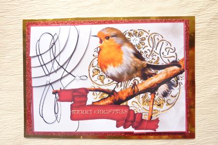 Duo Corner Christmas - Robin Redbreast by Rosina Walker