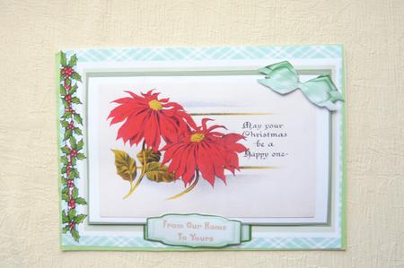 Lovely Red Christmas Poinsettias by Rosina Walker