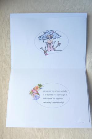 Stella a Responsible Adult Insert by Rosina Walker