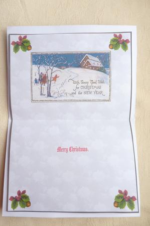 Fun in the Snow Insert 1 by Rosina Walker
