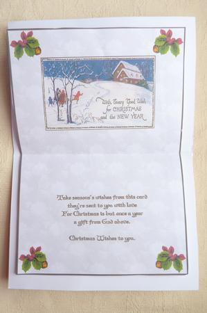 Fun in the Snow Insert by Rosina Walker