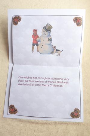 Playing in the Snow Insert 1 by Rosina Walker