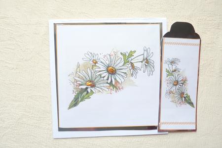 Simple Daisy Card by Rosina Walker