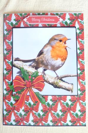Xmas Robin by Rosina Walker