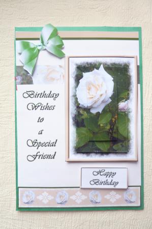 White Rose, to a Special Friend - A5 by Rosina Walker