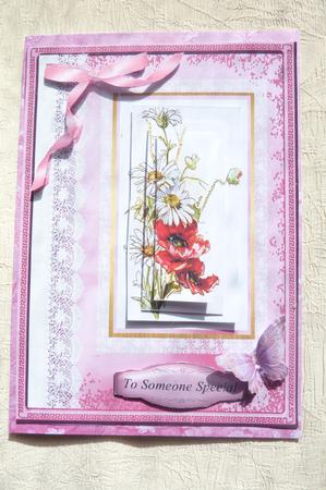 Lovely Daisys and Poppys , Pyramarge by Rosina Walker