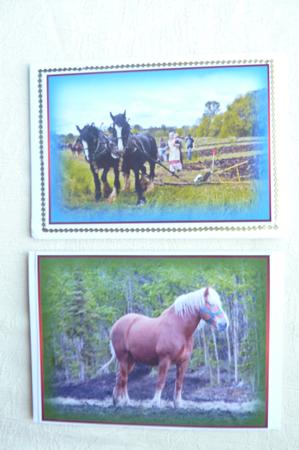 Horse Toppers No 1 by Rosina Walker