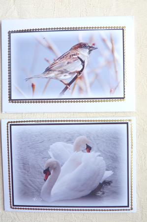 Bird Toppers No 1 by Rosina Walker