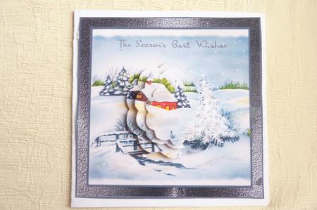 House in the Snow Hills Card and Petal Stacker by Rosina Walker