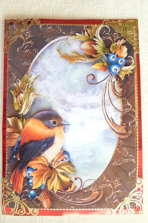 Beautiful Rust Bird at the Waterfall by Rosina Walker