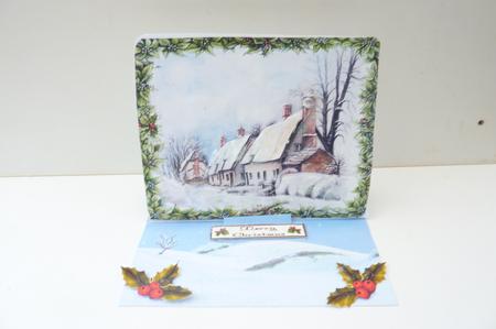 Winter Snow Scene Holly Border Featured Gallery Photo