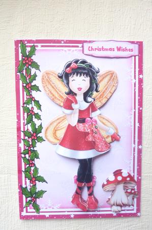 Tamara the Christmas Fairy by Rosina Walker