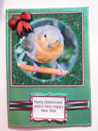 Christmas Robin by Rosina Walker