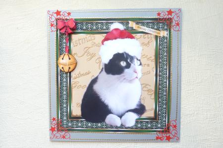 Meowy Christmas by Rosina Walker