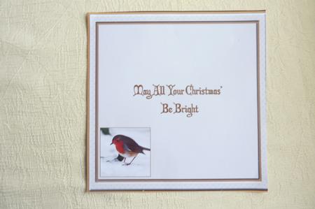 A Christmas Robin 5'' Square Insert. by Rosina Walker