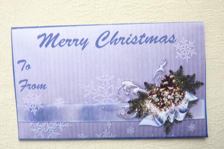 Pinecone Moneywallet Blue by Rosina Walker