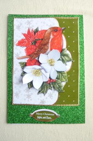 The Christmas Robin Faux Envelope by Rosina Walker