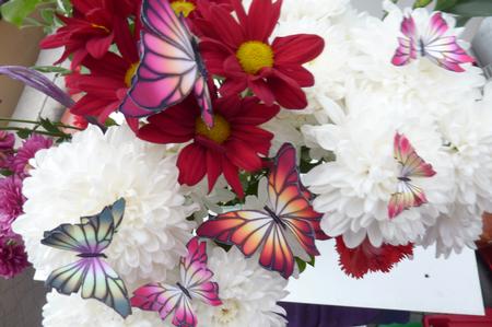 Butterflies 4 by Rosina Walker