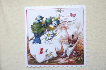 Birds of a Feather by Rosina Walker