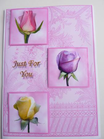 3 Rose Buds for You on Pink by Rosina Walker