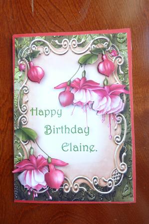 Pink Fuschias Floral Plaque by Rosina Walker