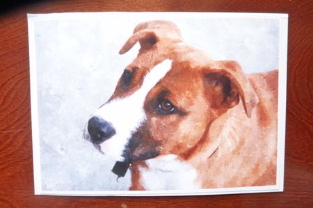 Cute Dog Watercolour Background 2 by Rosina Walker