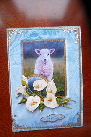 Lamb & Lilies Quick Card by Rosina Walker
