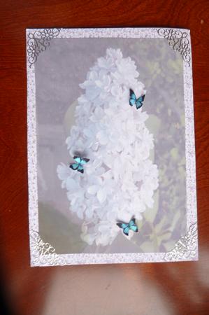 Lilac Flower Vellum by Rosina Walker