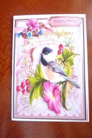 Beautiful Winged Friends and Lovely Petunias  by Rosina Walker