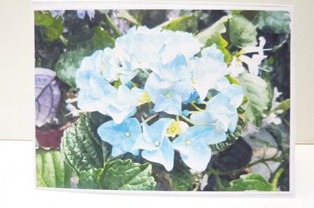 Hydrangea Flowers Watercolour Background by Rosina Walker