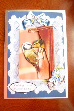 Lacy Blue Tits by Rosina Walker
