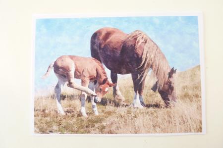 Mare and Foal Watercolour Background by Rosina Walker