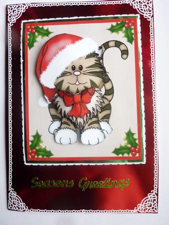 A Kitten for Christmas by Rosina Walker