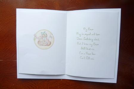 Teddy Bear and Friends Insert and Verse by Rosina Walker