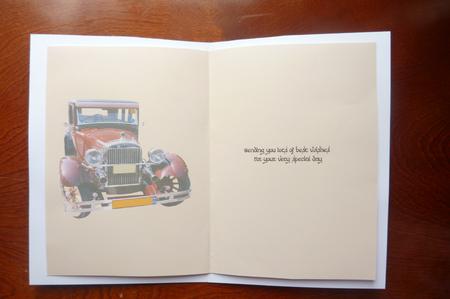 Vintage Driving Insert by Rosina Walker