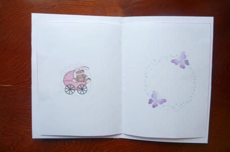 Baby Girl Vintage Insert Blank by Rosina Walker