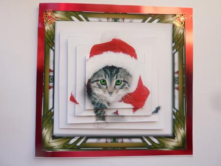 Santa Kitten by Rosina Walker