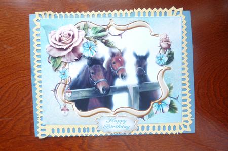 Three Horses at the Fence with Roses by Rosina Walker