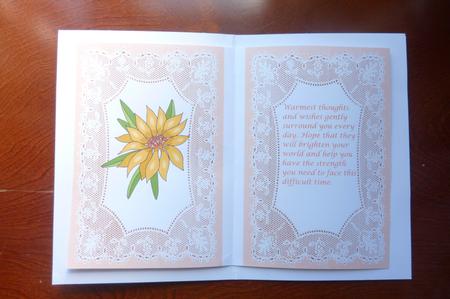 Vintage Peach Lace A5 Insert by Rosina Walker