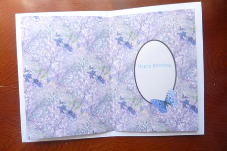 Magical Dreams Insert by Rosina Walker
