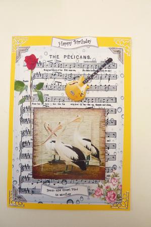From One Smart Bird to Another by Rosina Walker