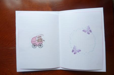 Baby Girl Vintage Insert and Verse by Rosina Walker