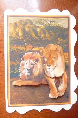 Lions Card Front by Rosina Walker