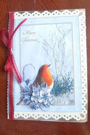 Robin with Winter Flowers by Rosina Walker