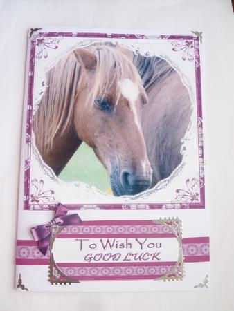 Red Pony by Rosina Walker
